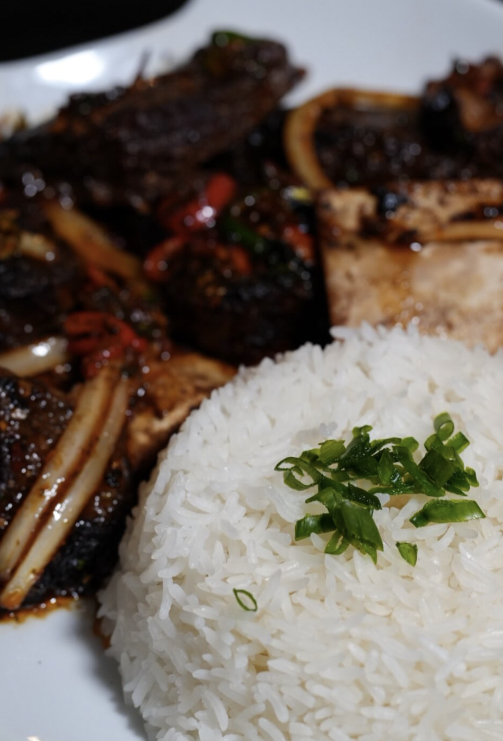 Braised beef and white rice plated with green onion garnish